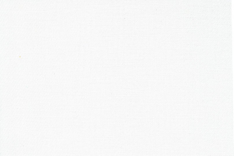 Muestra de color de raíl blanco