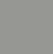 Muestra de color de raíl gris